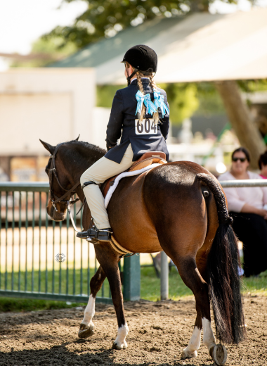 copy of kalos equestrian home pag 2